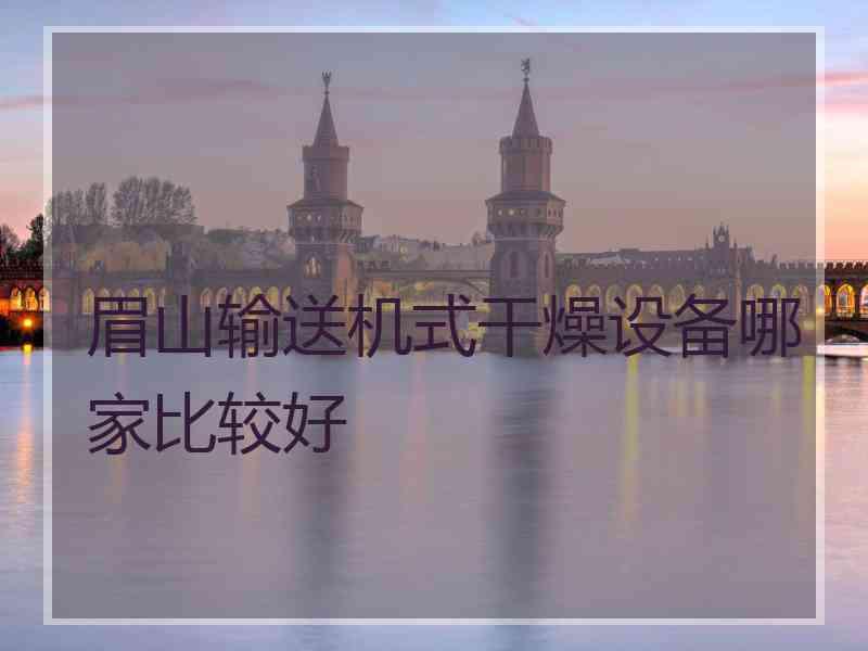 眉山输送机式干燥设备哪家比较好