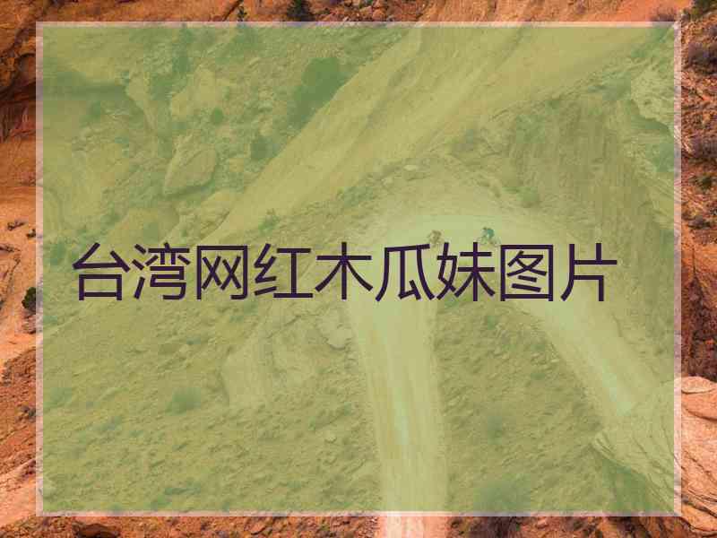 台湾网红木瓜妹图片