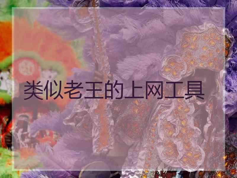 类似老王的上网工具