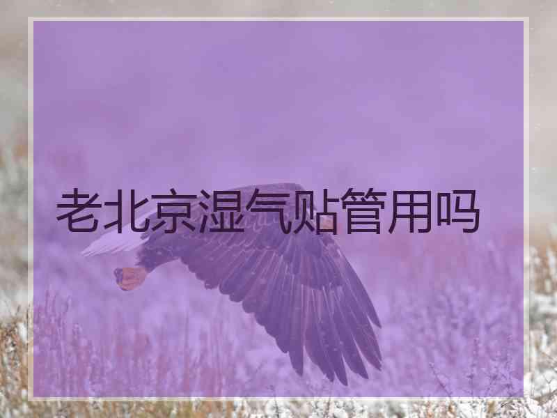 老北京湿气贴管用吗