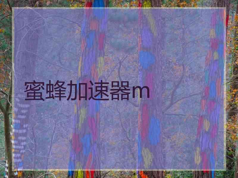 蜜蜂加速器m