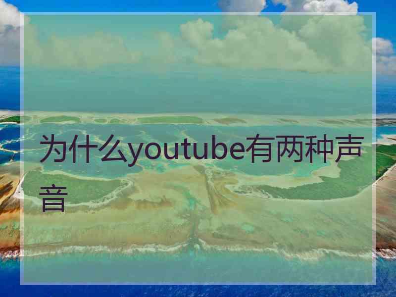 为什么youtube有两种声音