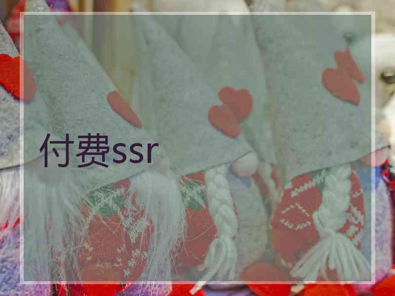 付费ssr