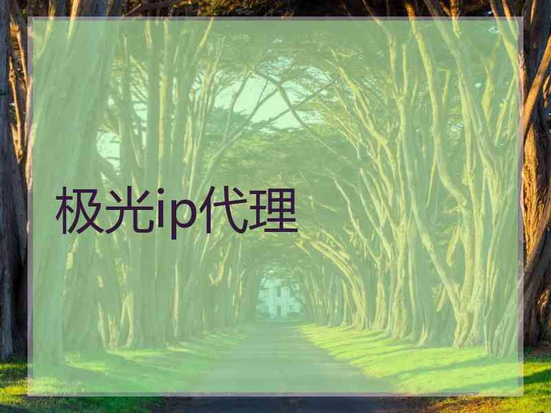 极光ip代理