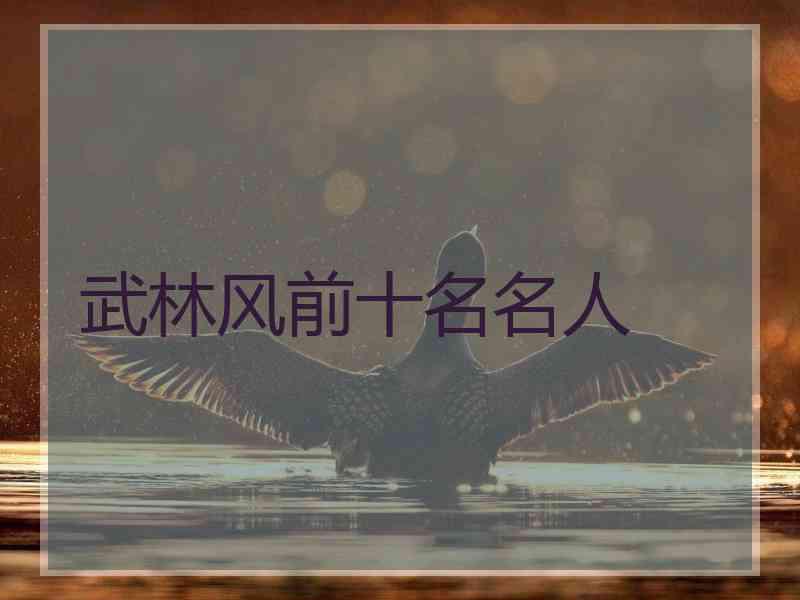 武林风前十名名人