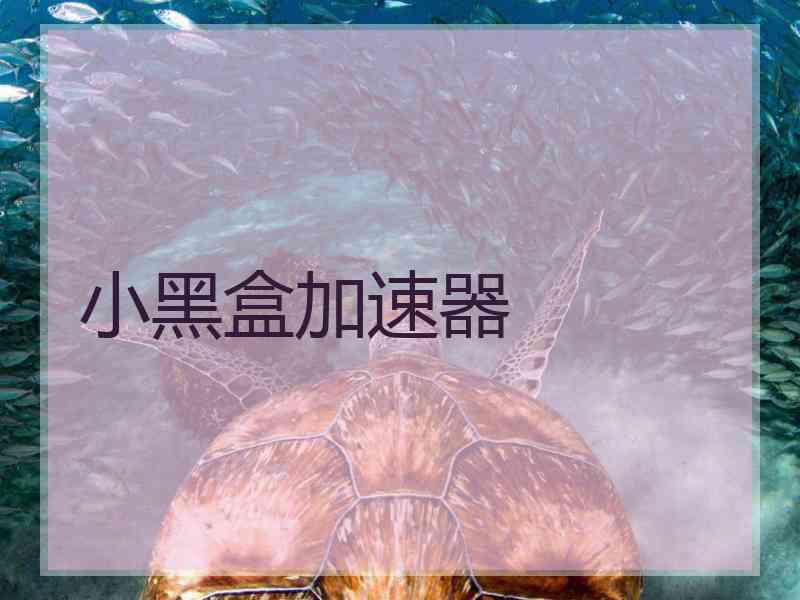 小黑盒加速器