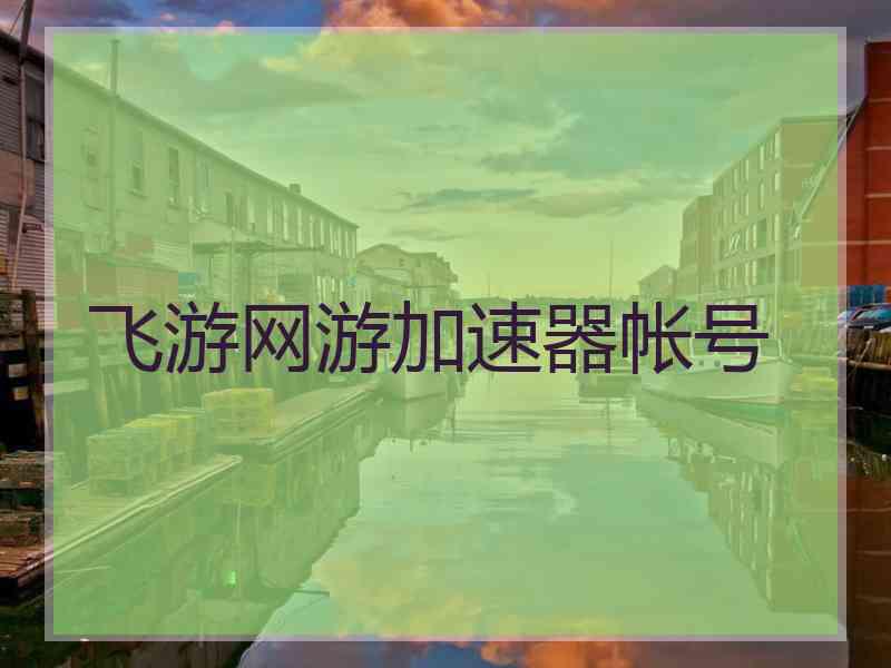 飞游网游加速器帐号