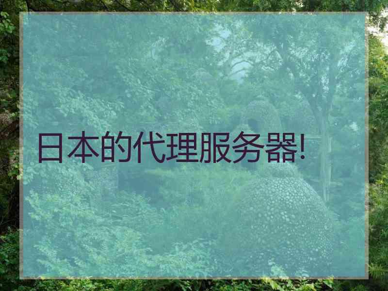 日本的代理服务器!