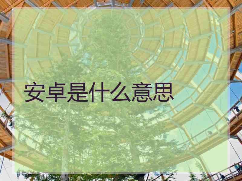 安卓是什么意思