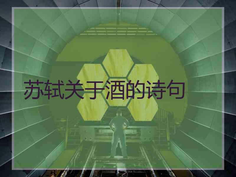 苏轼关于酒的诗句