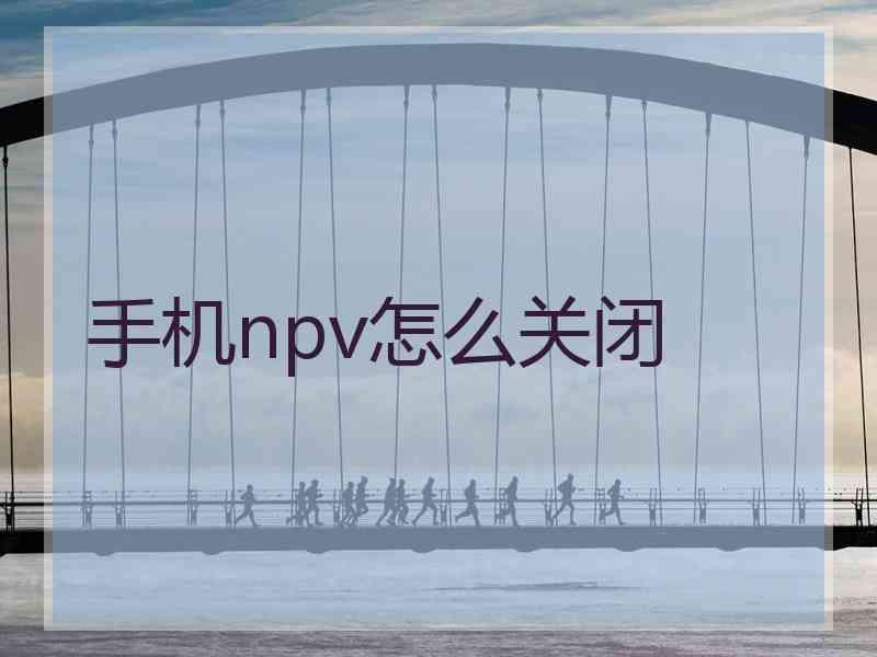 手机npv怎么关闭