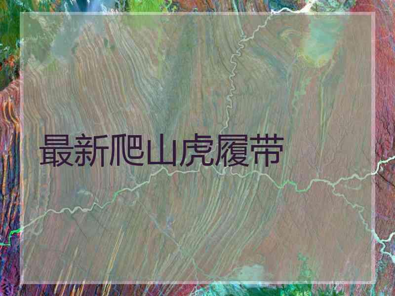 最新爬山虎履带