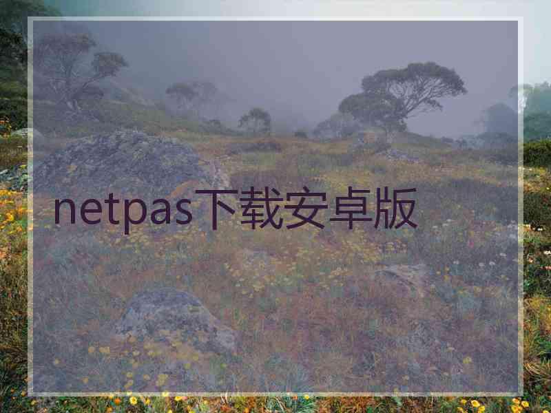 netpas下载安卓版