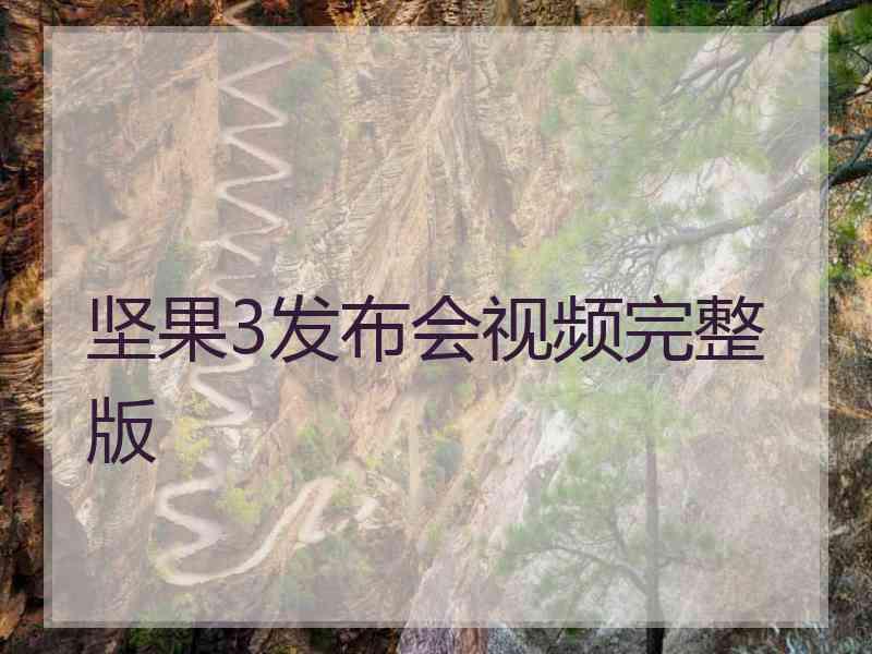 坚果3发布会视频完整版
