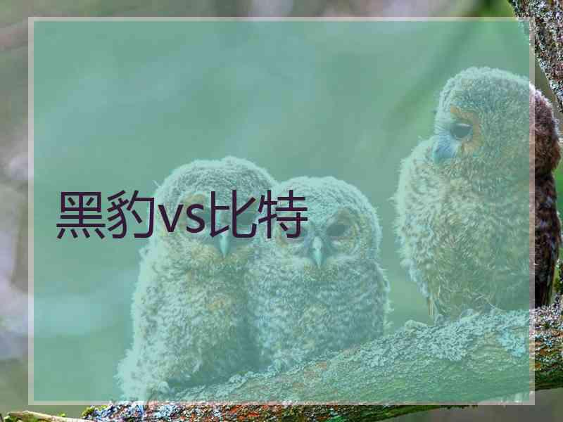 黑豹vs比特