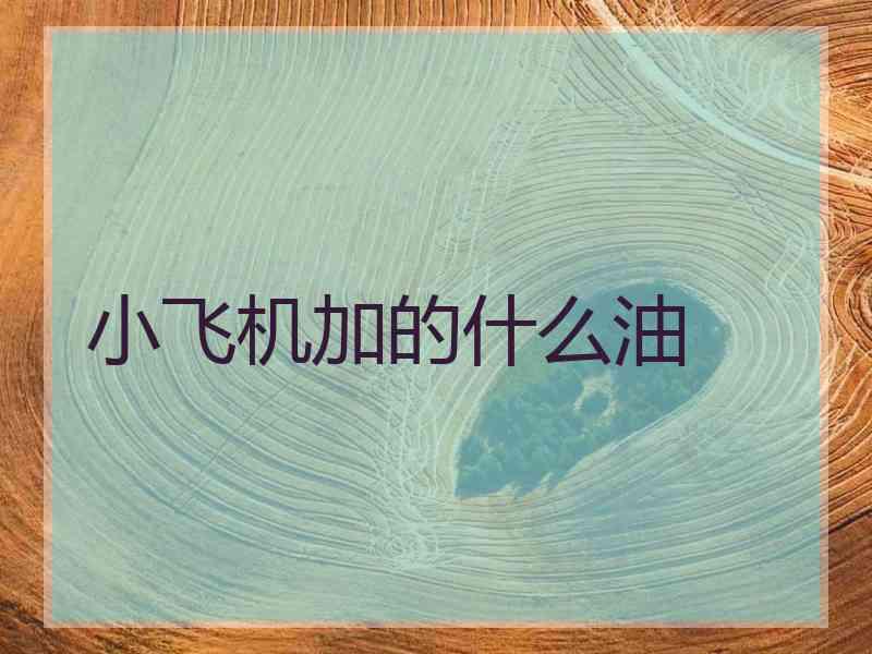 小飞机加的什么油