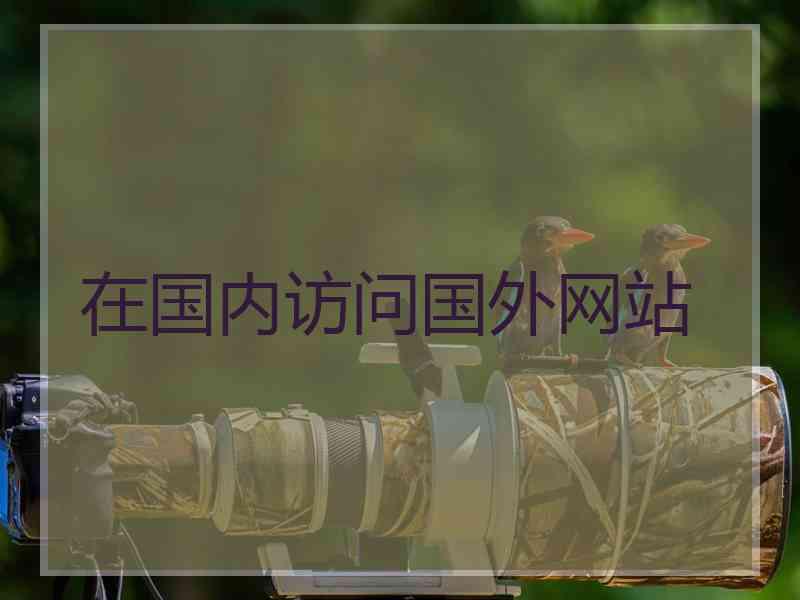 在国内访问国外网站
