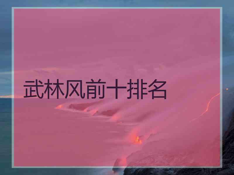 武林风前十排名