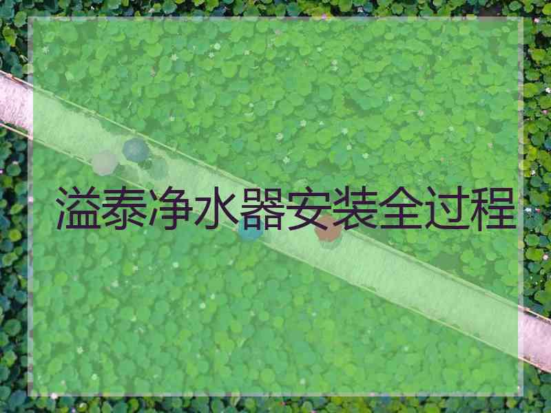 溢泰净水器安装全过程