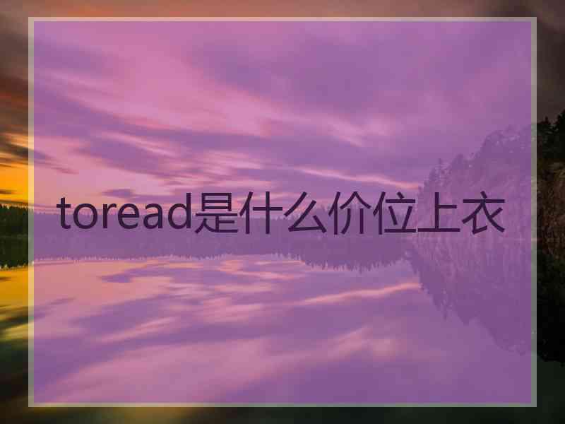 toread是什么价位上衣