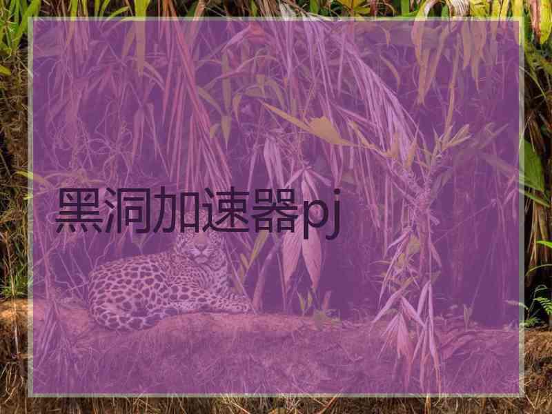 黑洞加速器pj