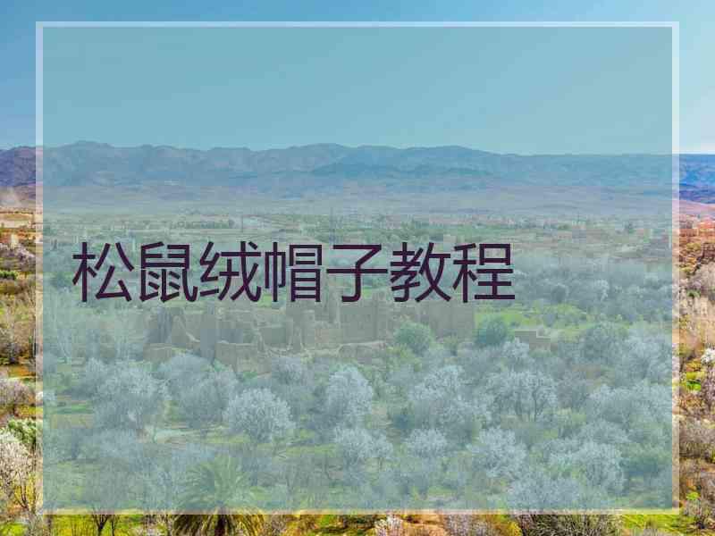 松鼠绒帽子教程