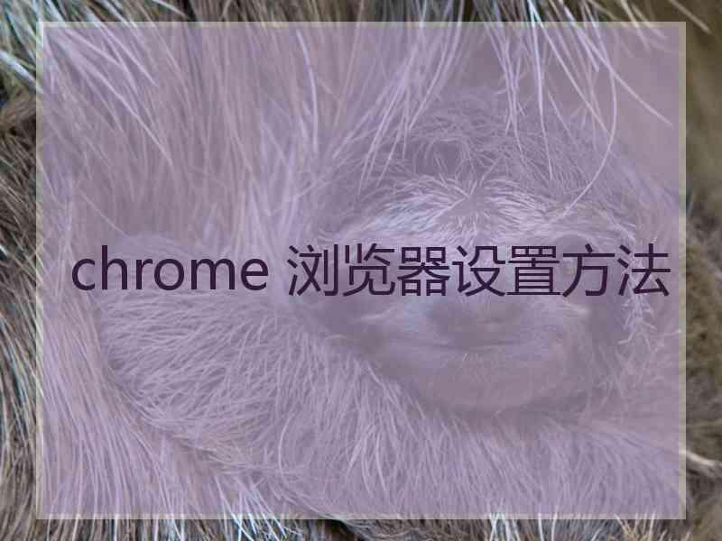 chrome 浏览器设置方法