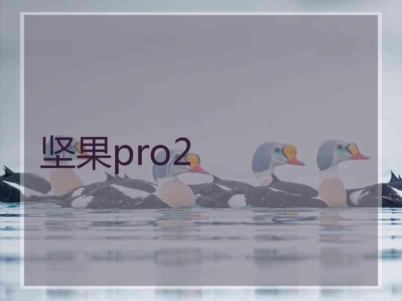 坚果pro2