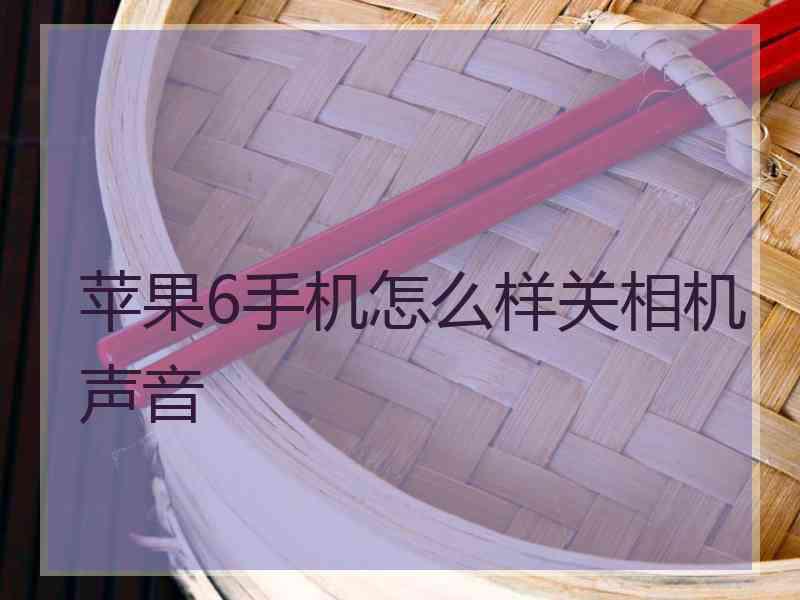 苹果6手机怎么样关相机声音