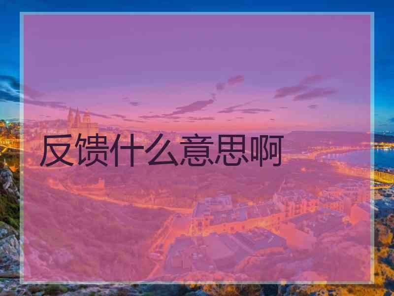 反馈什么意思啊