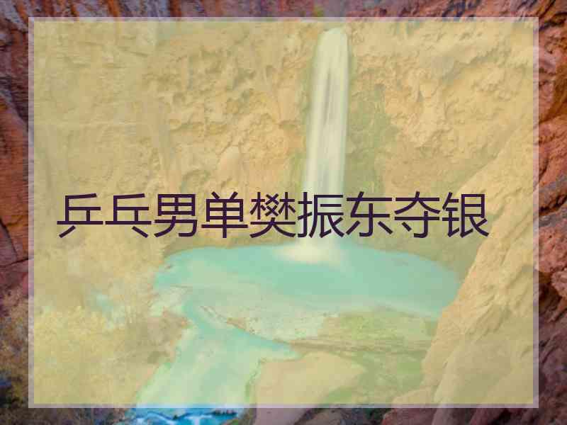 乒乓男单樊振东夺银