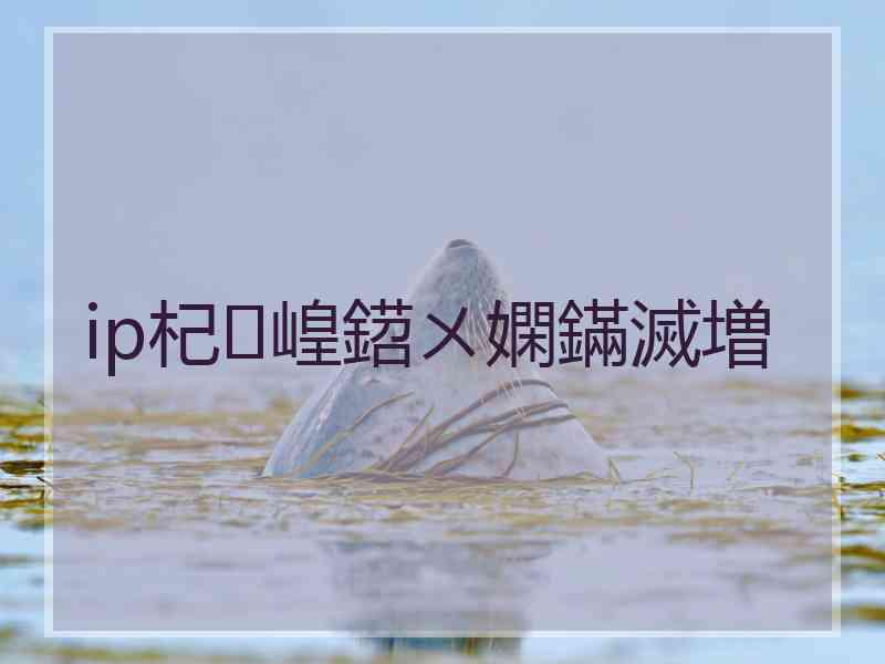 ip杞崲鍣ㄨ嫻鏋滅増