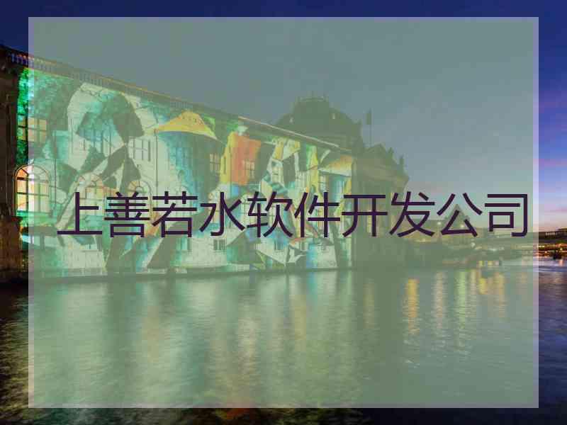 上善若水软件开发公司