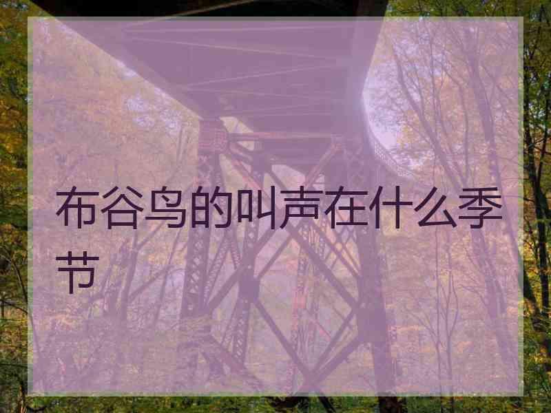 布谷鸟的叫声在什么季节