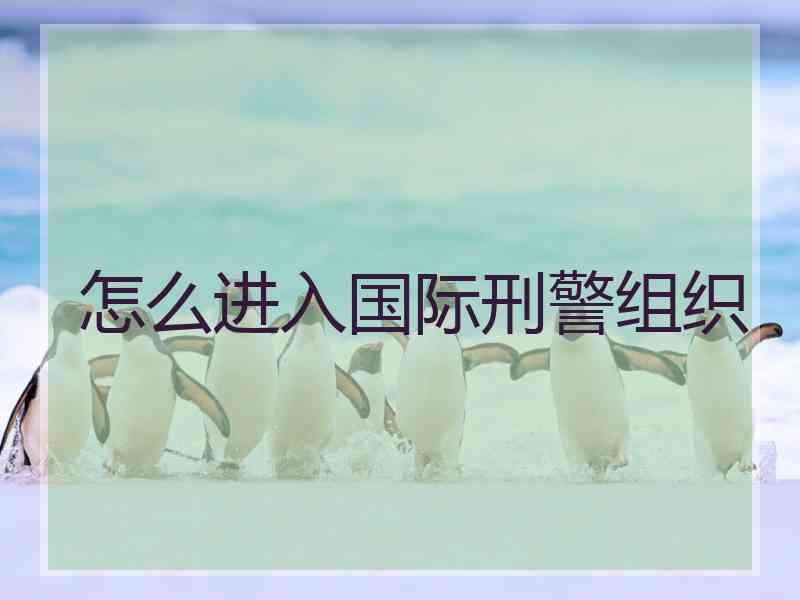 怎么进入国际刑警组织