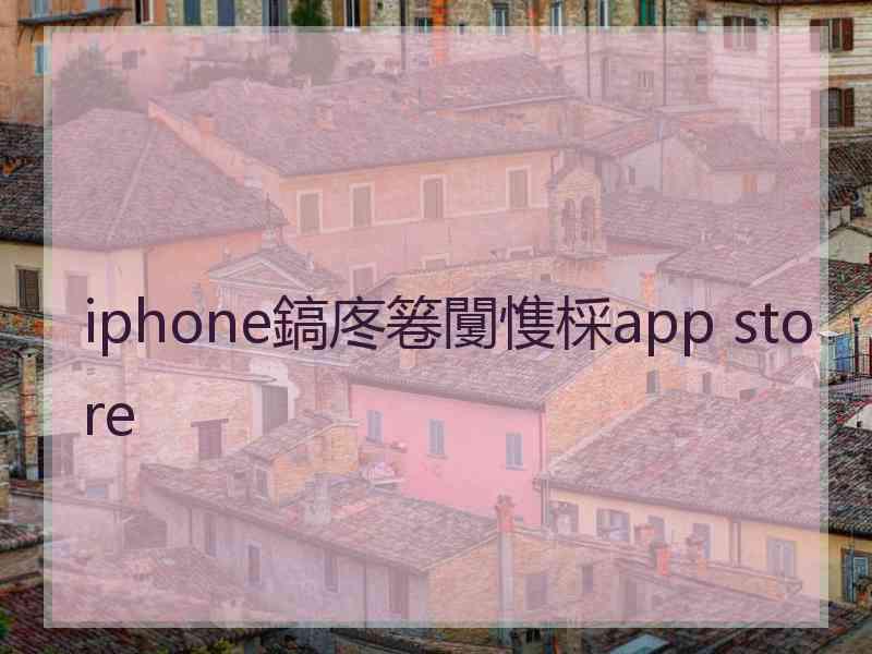 iphone鎬庝箞闅愯棌app store