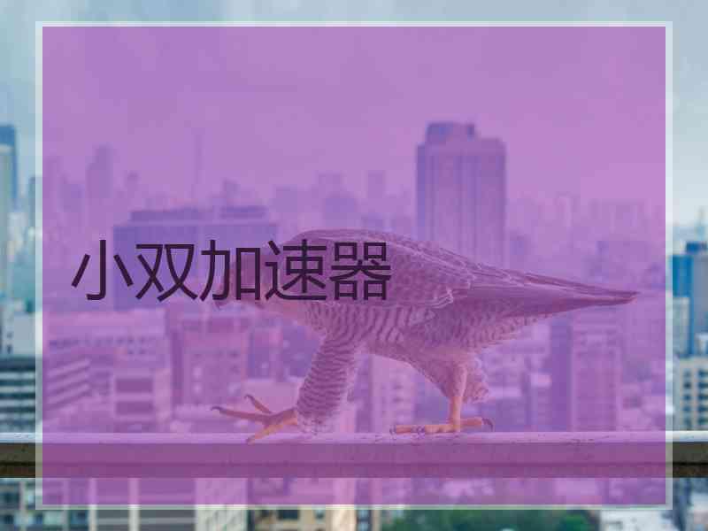 小双加速器