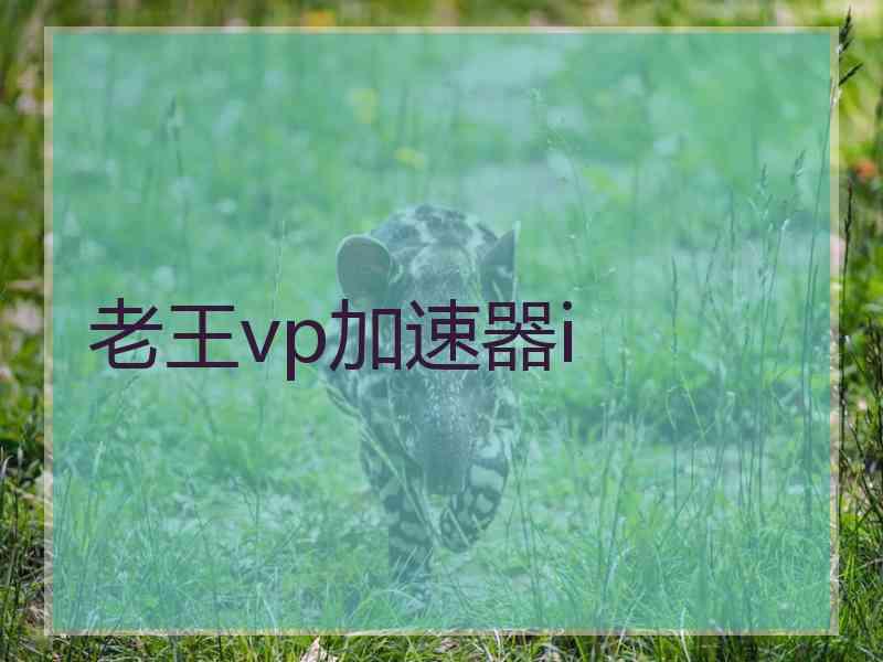 老王vp加速器i
