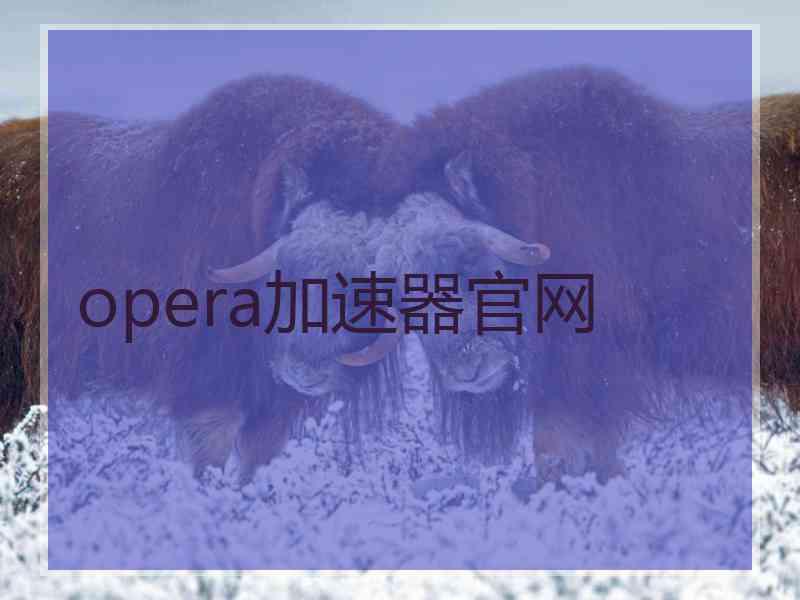 opera加速器官网