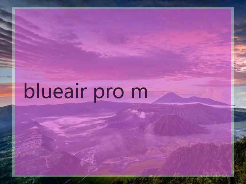 blueair pro m
