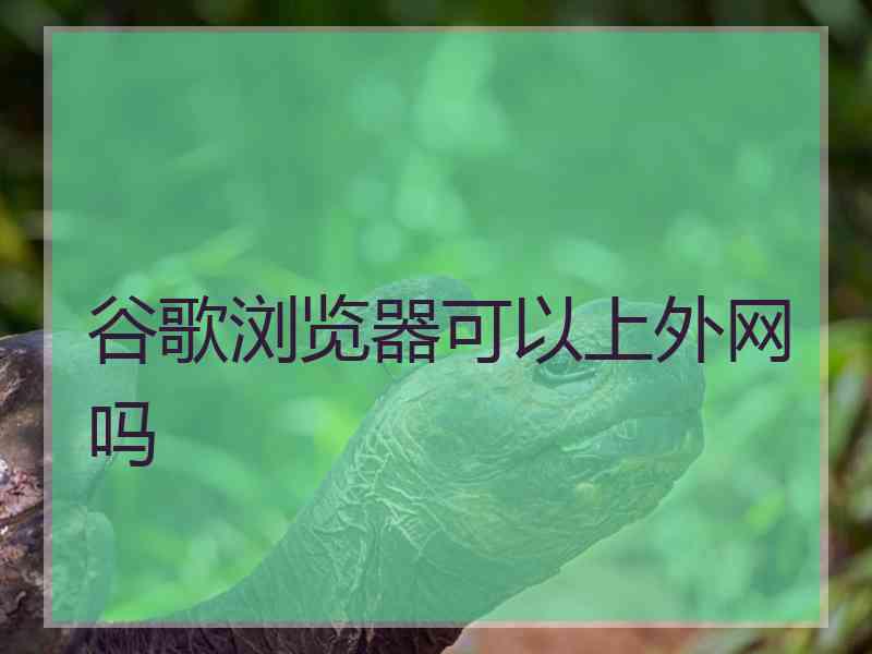 谷歌浏览器可以上外网吗