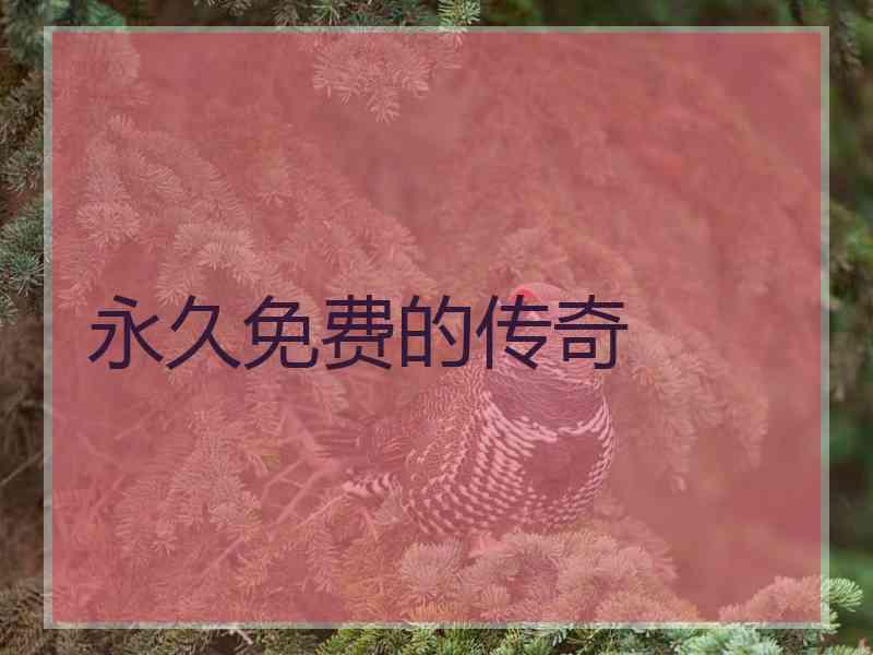 永久免费的传奇