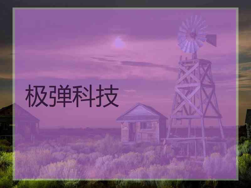 极弹科技