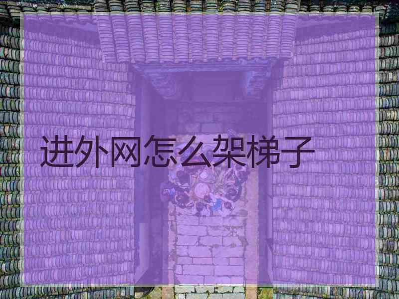 进外网怎么架梯子