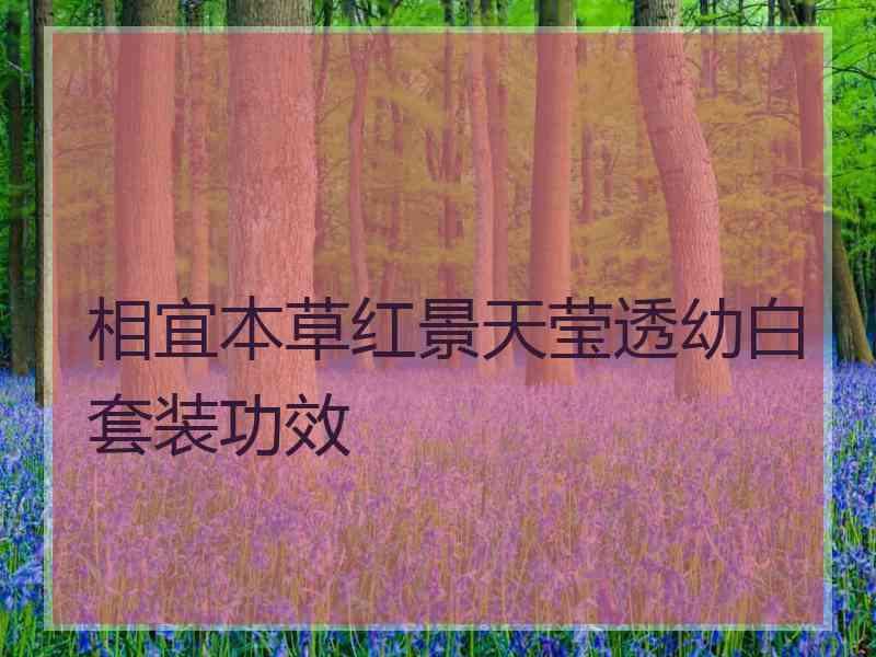相宜本草红景天莹透幼白套装功效