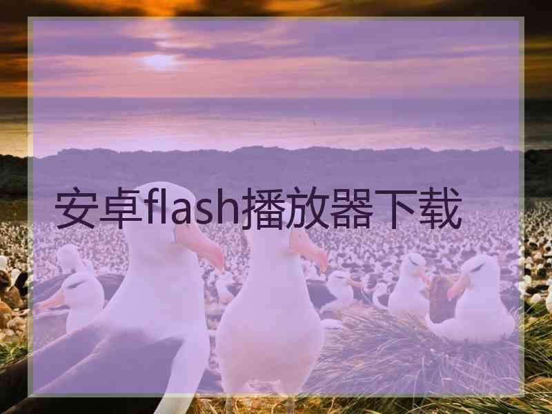 安卓flash播放器下载