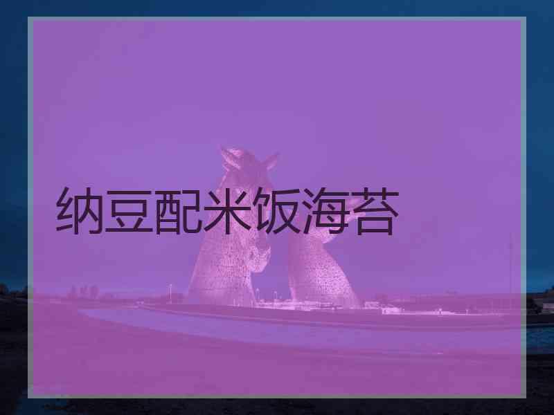 纳豆配米饭海苔