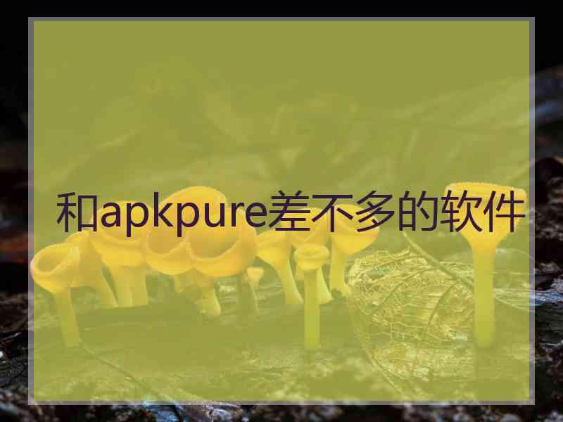 和apkpure差不多的软件