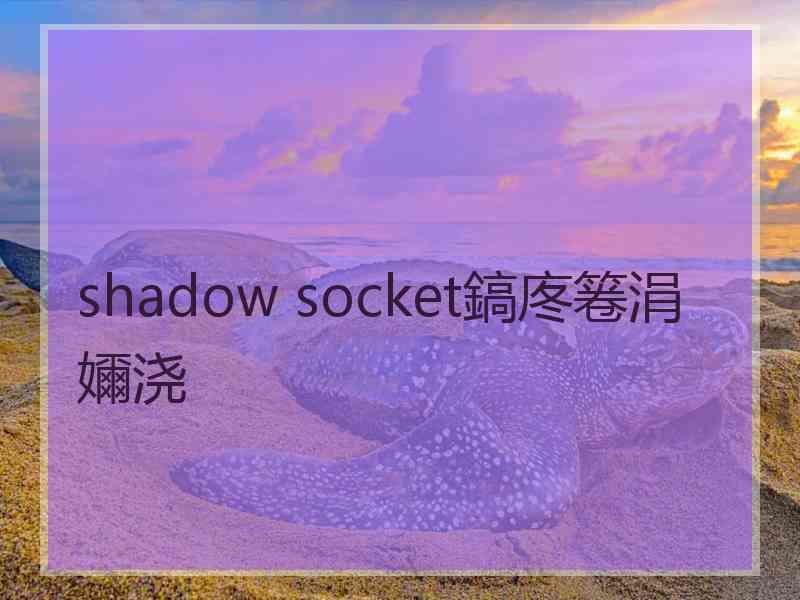 shadow socket鎬庝箞涓嬭浇