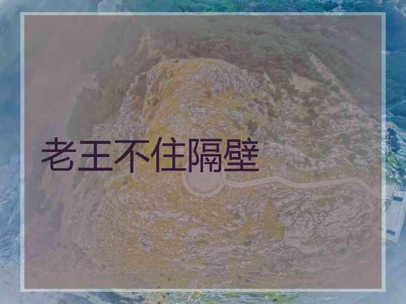 老王不住隔壁